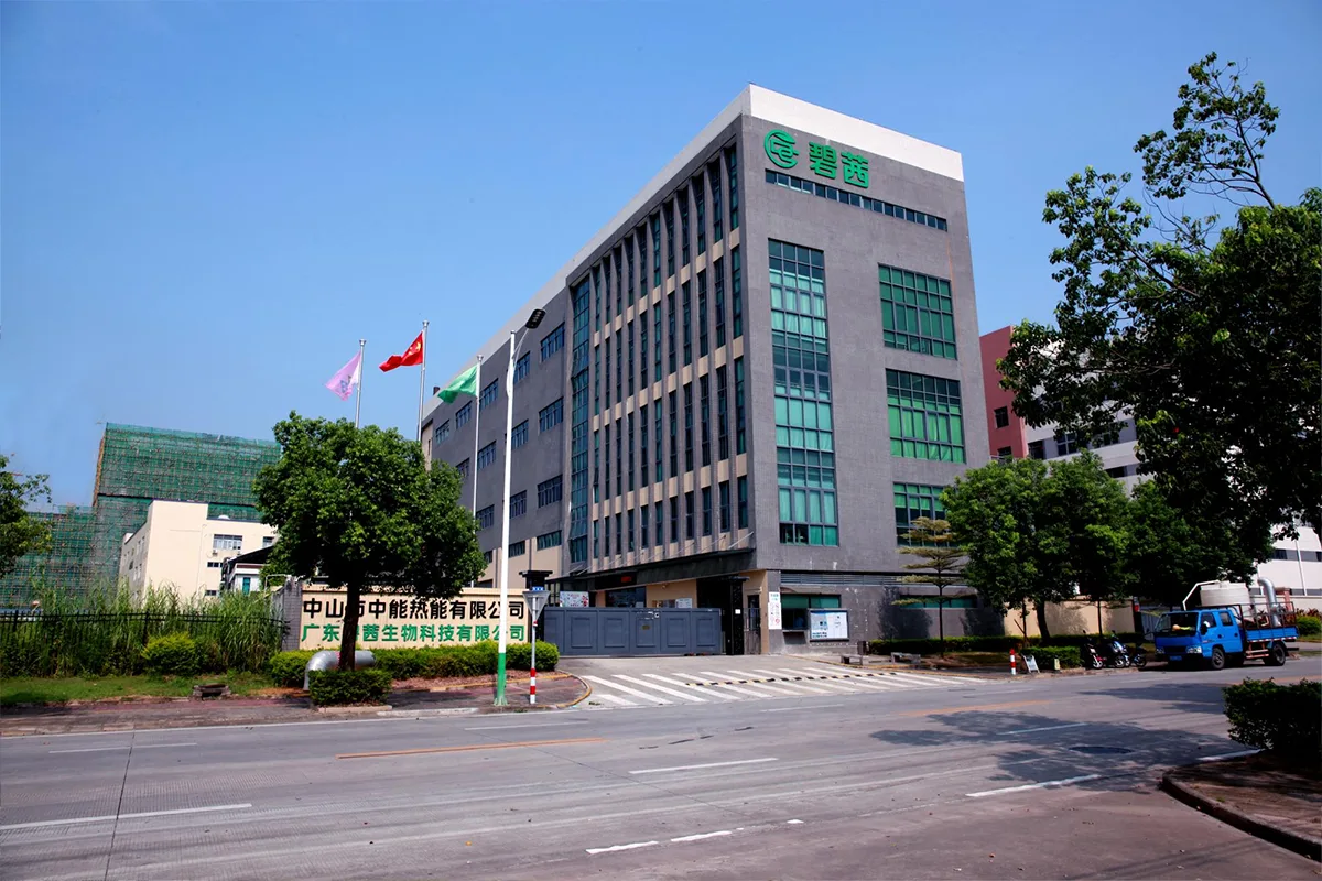 మా గురించి